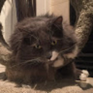 Meet your Posher, Karey